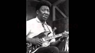 Muddy Waters  Hoochie Coochie Man Lyrics [upl. by Gairc342]