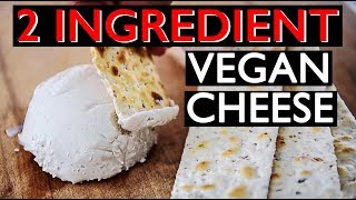 EASY Vegan Cheese Recipe ONLY 2 INGREDIENTS [upl. by Brynne]