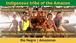 Brazil Travel  Indigenous tribe of the Amazon [upl. by Yendroc]