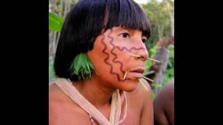 Tribes of the Amazon Rainforest  Yanomami Yekuana and Piaroa [upl. by Bucella678]