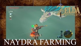 Zelda Breath Of The Wild Naydra Dragon EASY Farming [upl. by Sanson]