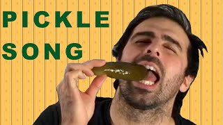 Pickle Song  Official Music Video [upl. by Aramenta663]