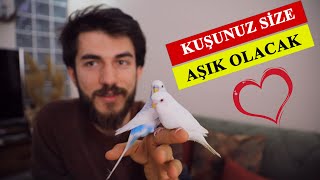 4 Adımda Kuşunuz Size Aşık Olacak  En İyi Yavru Kuş Eğitimi [upl. by Yknip694]