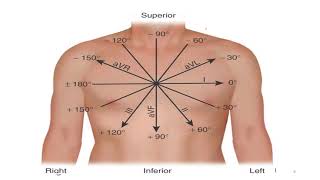 TEMEL ELEKTROKARDİYOGRAFİ 1 EKG [upl. by Idnor]