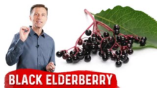 The Amazing Benefits of Black Elderberry [upl. by Maximo86]