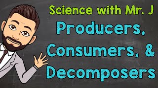 Producers Consumers and Decomposers  Ecosystems [upl. by Ahseele]