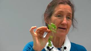 Barbara ONeill  Part 11 Herbs [upl. by Ikuy]