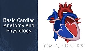 Basic Cardiac Anatomy and Physiology by N Braudis A Olszewski  OPENPediatrics [upl. by Nehttam]