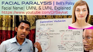 Lower Extremity Nerve Flossing  Leg Numbness Exercise [upl. by Lolande501]