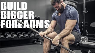 How To Build BIGGER FOREARMS 6 INTENSE EXERCISES [upl. by Jasisa]