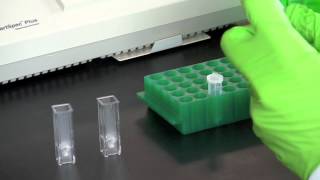 DNA Quantitation Using a Spectrophotometer [upl. by Zeena52]