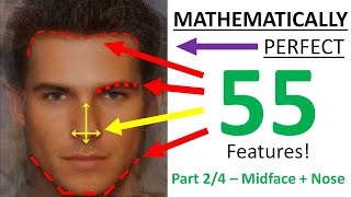 Midface and Nose  Analysing the Perfect Male Face Part 24 [upl. by Nylrahs311]