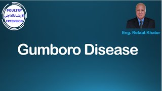 Gumboro disease [upl. by Roe]