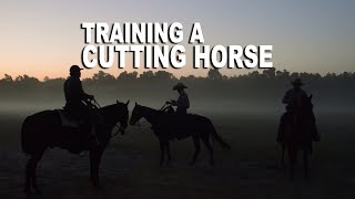 Training a Cutting Horse  MAKING THE CUT  Low Country Cowboys Episode Three [upl. by Gerrard]