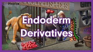 Endoderm Derivatives Mnemonic  MCAT Preview [upl. by Yatnuahc628]