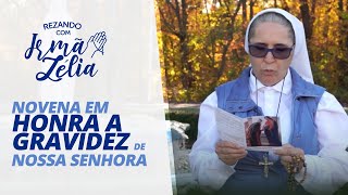 Reze com Irmã Zélia a Novena em Honra a Gravidez de Nossa Senhora [upl. by Allred]