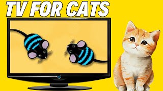 TV FOR CAT  A Delightful Video for Cat🐭4K 📺 [upl. by Weywadt818]