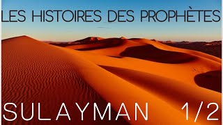 Lhistoire du Prophète Souleyman  Partie 12  VF par Voix Offor Islam [upl. by Lasyrc69]