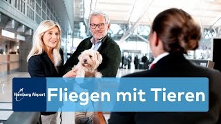 Fliegen mit Tieren Was bei Reisen mit Hunden zu beachten ist [upl. by Baumbaugh]