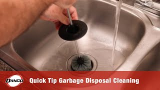 Quick Tip Garbage Disposal Cleaning [upl. by Aurlie687]