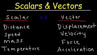 Scalars and Vectors [upl. by Im]