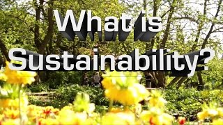 What Is Sustainability [upl. by Sidhu]