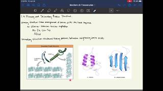 MCAT Biochemistry Chapter 1 Amino Acids Peptides and Proteins [upl. by Dena260]