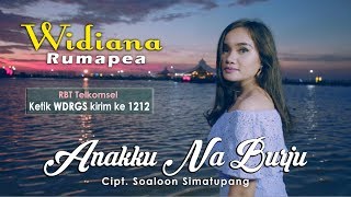 Widiana Rumapea  Anakku Na Burju  OFFICIAL MUSIC VIDEO [upl. by Neetsirk]