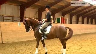 Dressage Exercise  Walk Pirouettes [upl. by Ronnica]