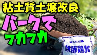 【失敗のない土づくり】バークだけでカチカチどろどろ粘土質をフワフワに土壌改良できる。元肥は100円鶏糞【家庭菜園】 [upl. by Ehcram]