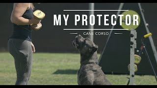 CANE CORSO BEST DOG PROTECTOR Meryl and Marco [upl. by Amandie340]