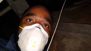 Do It Yourself Mold Remediation [upl. by Ceporah941]