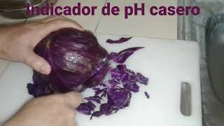 Indicador de pH caseroRepollo morado [upl. by Annael]