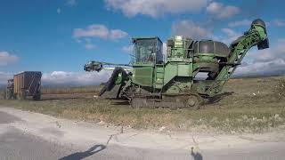 Westmoreland cane field in Jamaica [upl. by Leesen]