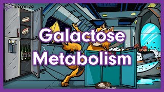 Galactose Metabolism Mnemonic  USMLE Preview [upl. by Cyndi188]