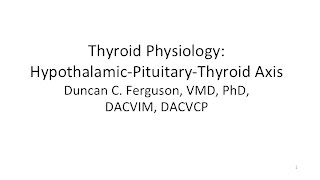 Thyroid Physiology Hypothalamic Pituitary Thyroid Axis [upl. by Scotty]