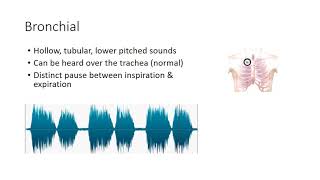 Essential Lung Sounds [upl. by Zetniuq]