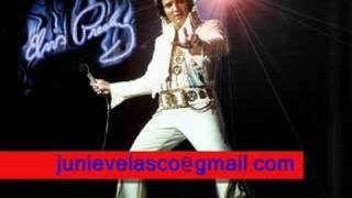 Elvis Presley  Unchained Melody [upl. by Damalus]