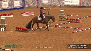 A Judges Perspective 2017 AQHA Select Trail World Champion [upl. by Nnyroc188]