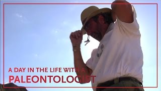 A Day in the Life of Paleontologist Thomas Carr [upl. by Arnulfo]