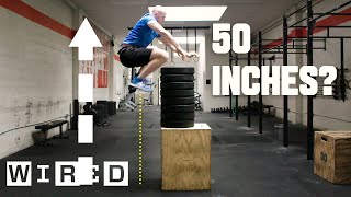 Why Its Almost Impossible to Jump Higher Than 50 Inches  WIRED [upl. by Hudnut]