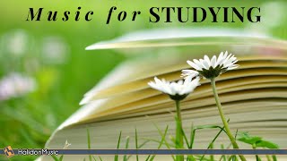 Classical Music for Studying and Concentration [upl. by Aylmar]