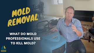 What Do Mold Professionals Use To Kill Mold [upl. by Elleniad99]