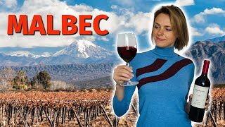 Wine Grapes 101 MALBEC [upl. by Demodena]