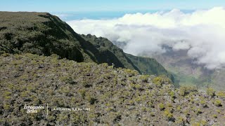 La Réunion île multiculturelle [upl. by Eleazar]