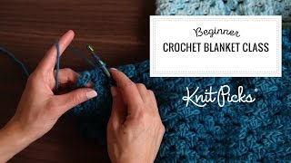 Beginner How To Crochet Blanket Full Class [upl. by Atilemrac]