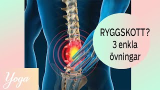 Hjälp vid Ryggskott  3 enkla övningar [upl. by Avilys86]