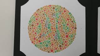 Video 6 The Ishihara Test for Colour Vision [upl. by Tova]