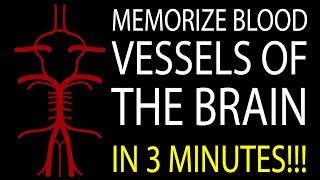 MNEMONIC Brains Blood Supply MEMORIZE in 3 Minutes [upl. by Ruhtracm]