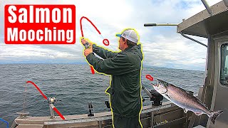 How to Mooch for Salmon Salmon Mooching [upl. by Yeca]